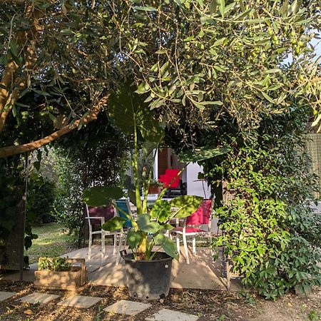 La Maison Sous L'Olivier Villa Morieres-les-Avignon Esterno foto
