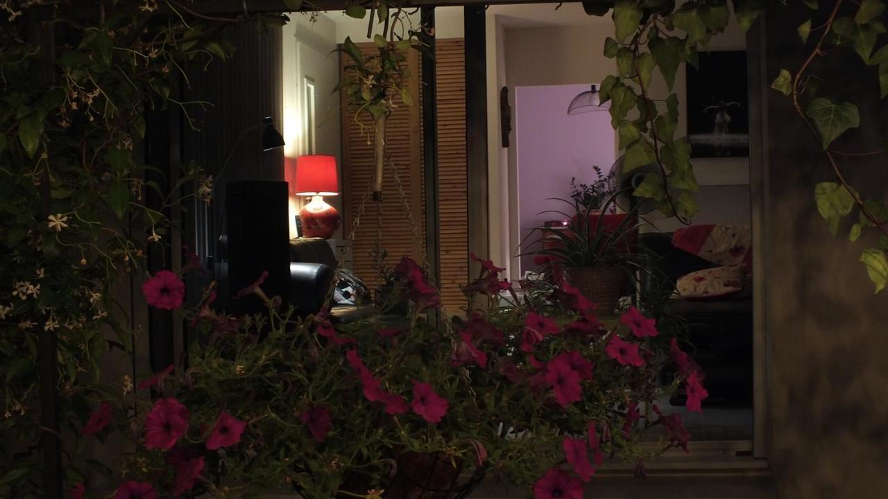 La Maison Sous L'Olivier Villa Morieres-les-Avignon Esterno foto